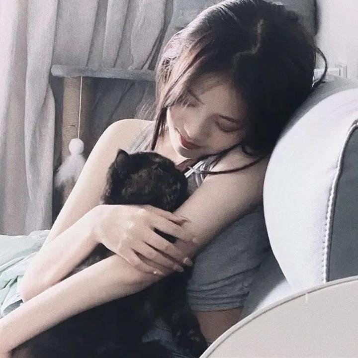 胡同猫